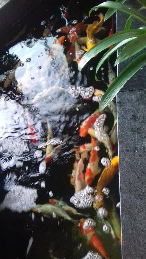 Khach San Hiep Yen Hotel Туй Хоа Екстериор снимка